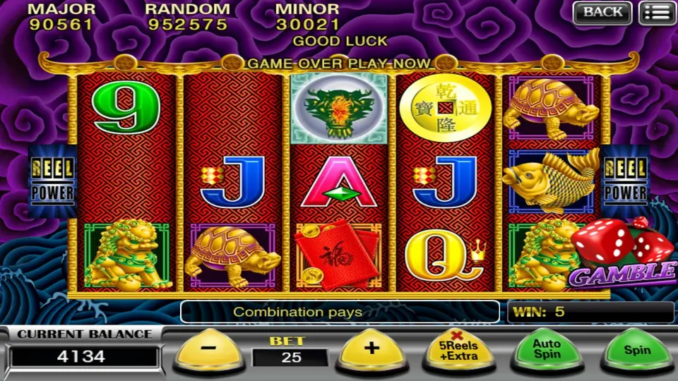 Five Dragon reels after a small win, with a turtle, a golden carp, a lion statue, a red envelope and a GAMBLE dice badge, and a message bar reading Combination pays