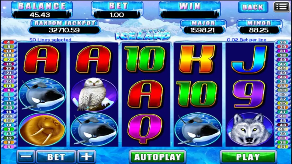 Iceland reels with owls, orcas, a walrus and a wolf, 50 lines selected at 0.02 per line and a bet of 1.00